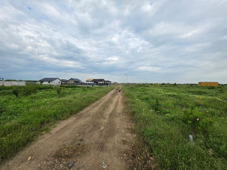 Teren Construcții intravilan de 529 mp, în Frumușani