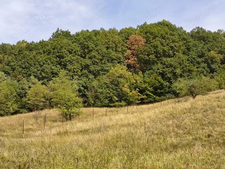 Teren de 2050 mp, în Livadea