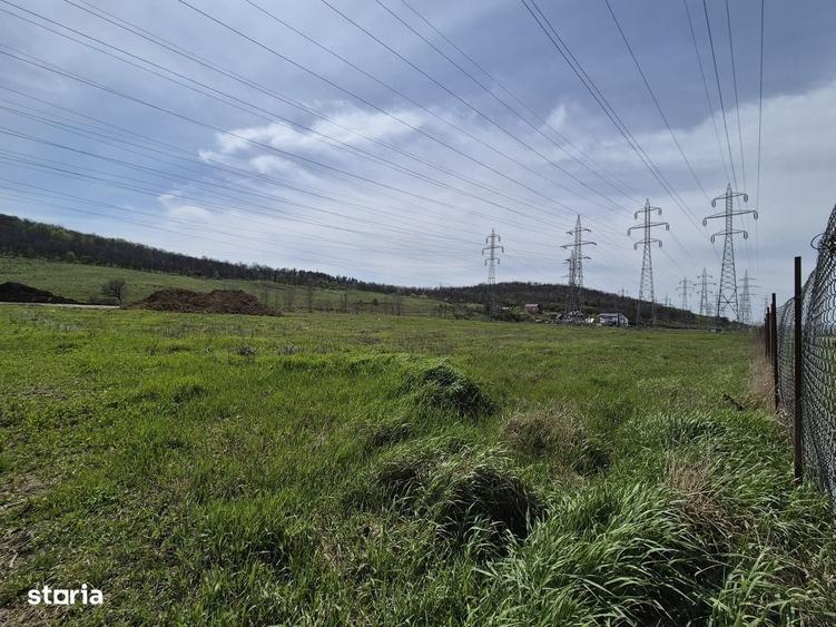 Teren intravilan industrial, 33.000 mp, PUZ, Trei Fantani - Iasi - 5