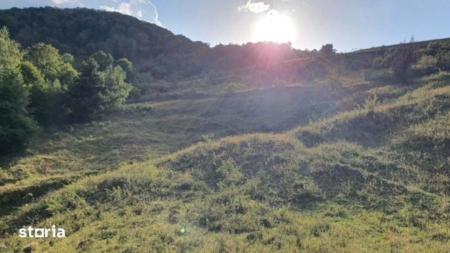 Teren de 13203 mp, în Sălciua