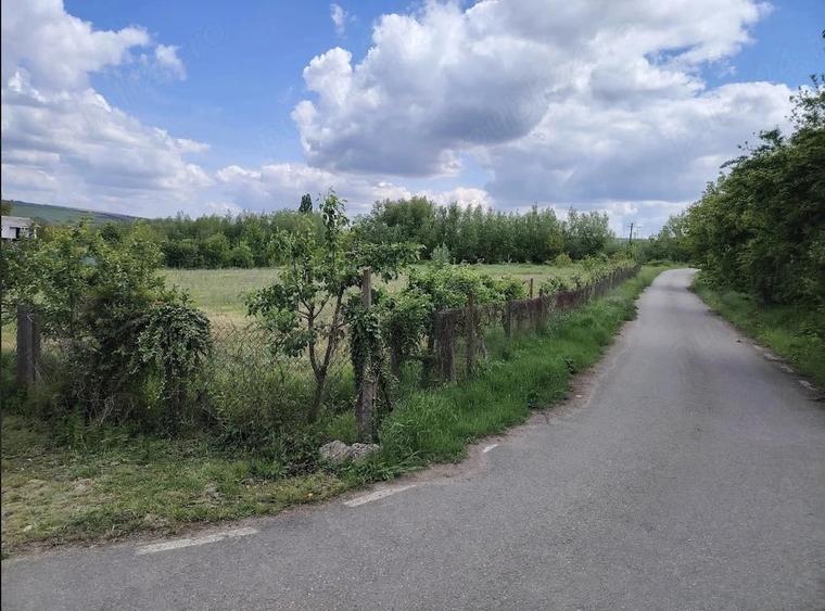 Teren de 6000 mp, în Fălticeni