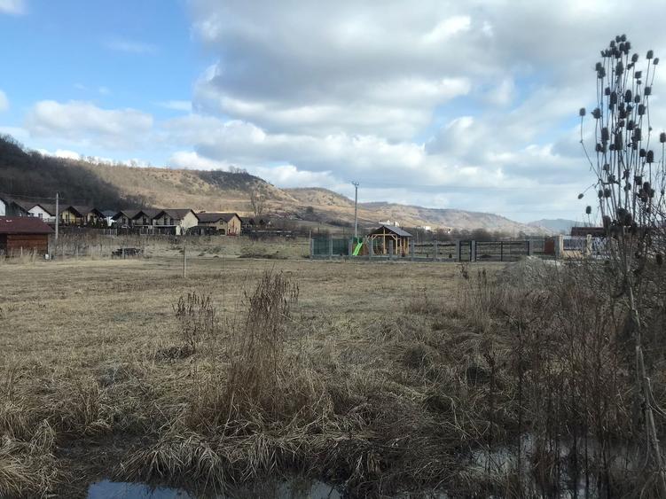 Teren agricol intravilan de 900 mp, în Livezeni