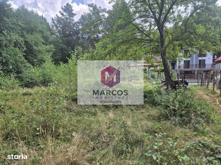 Spațiu comercial, în Văliug