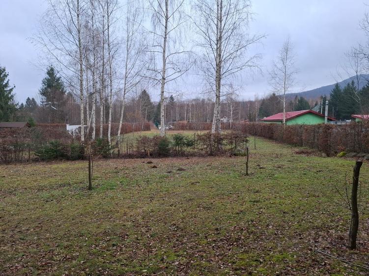 Teren Construcții intravilan de 2000 mp, în Sud-Vest
