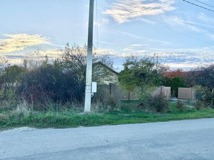 1007mp teren Peris, deschidere 14ml - 2