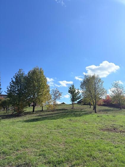 Teren pretabil pentru pensiune,Baile 1 Mai,Oradea - 1