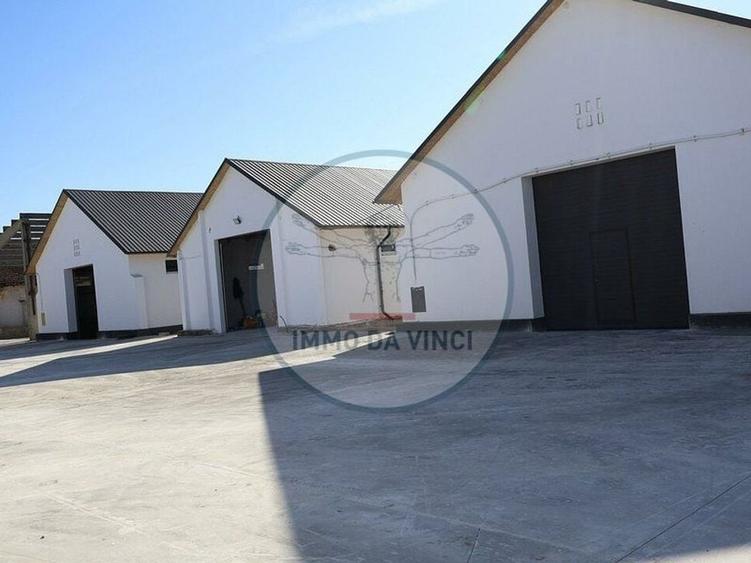 Inchiriem Hale Industriale / locuri de depozitare /birouri - 7