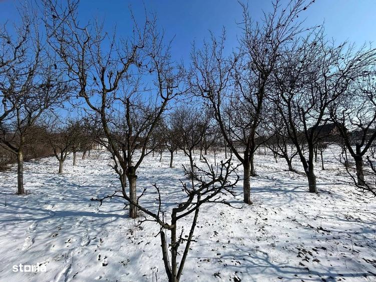 De vanzare casuta mica din caramida cu Teren de 1059mp. 27.000euro - 6