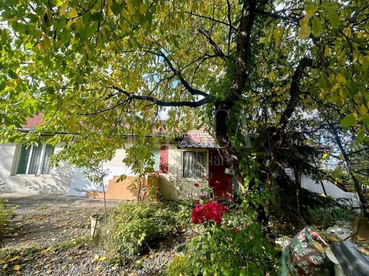 Teren intravilan pentru constructii de vanzare in Andrei Muresanu, Cluj Napoca Teren intravilan pentru constructii de vanzare in Andrei Muresanu, Cluj Napoca