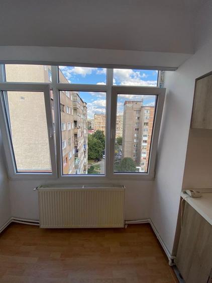 Apartament , ultracentral, 1 camera Blvd. Corvin - 8