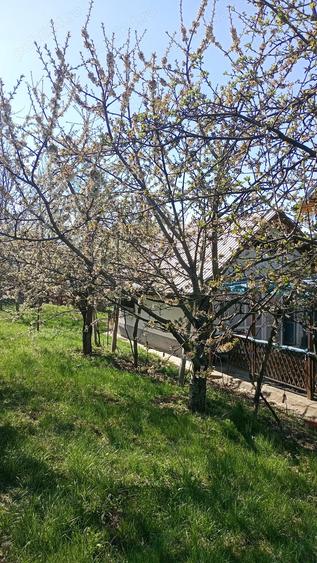 Proprietate de vanzare - 9