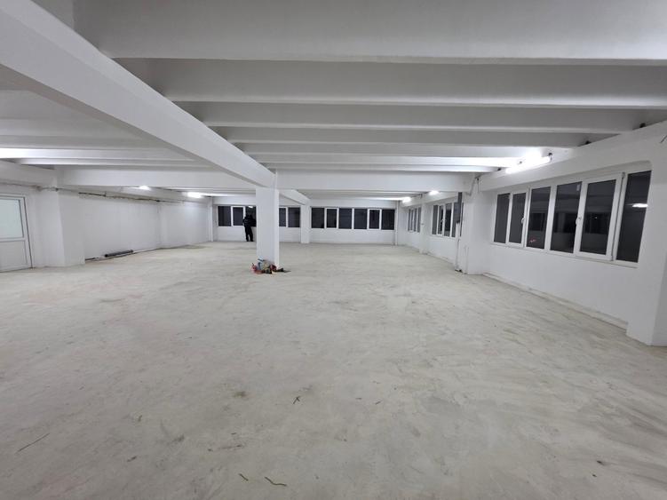 Theodor Pallady, 10 minute metrou 1 Decembrie 1918, stradal - 14