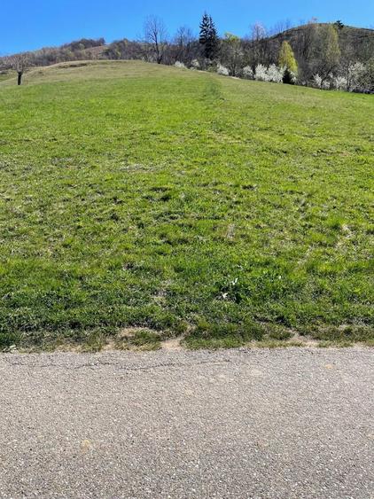 Teren intravilan - 10