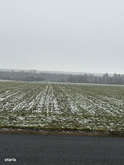 Vand teren extravilan cu deschidere la E 85 , 9 Hectare - 2