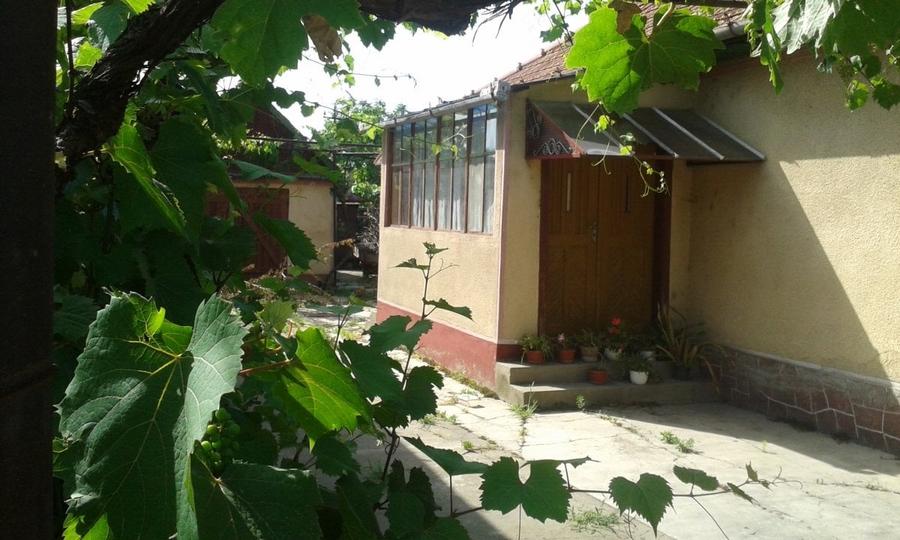 Proprietar-vand urgent casa cu curte ,gradina , imediat ocupabila si locuibila - 6