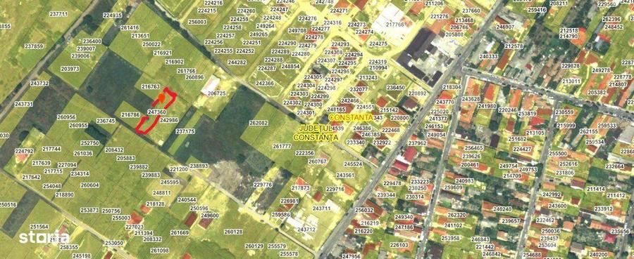 Teren intravilan - Viile Noi/Comarnic- 750 mp, utilitati in apropiere - 6