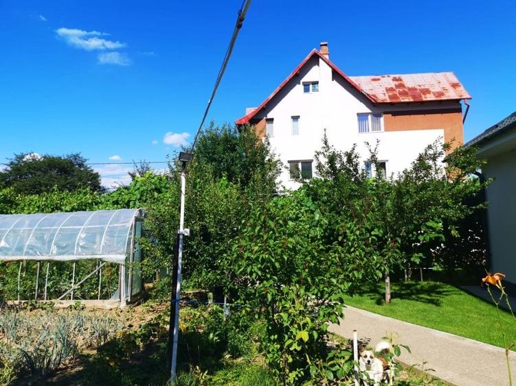 Imobil Mosoaia - Hintesti, 14 camere, teren 1.382mp - 26