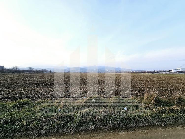 Teren intravilan | De vanzare | 780 mp | 30 ml deschidere | Partos - 3