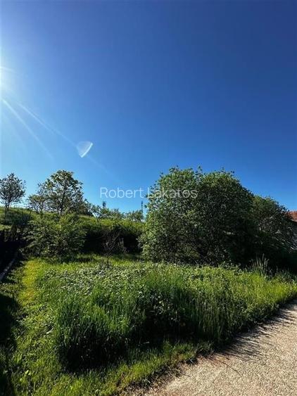 Reco Teren intravilan Beius