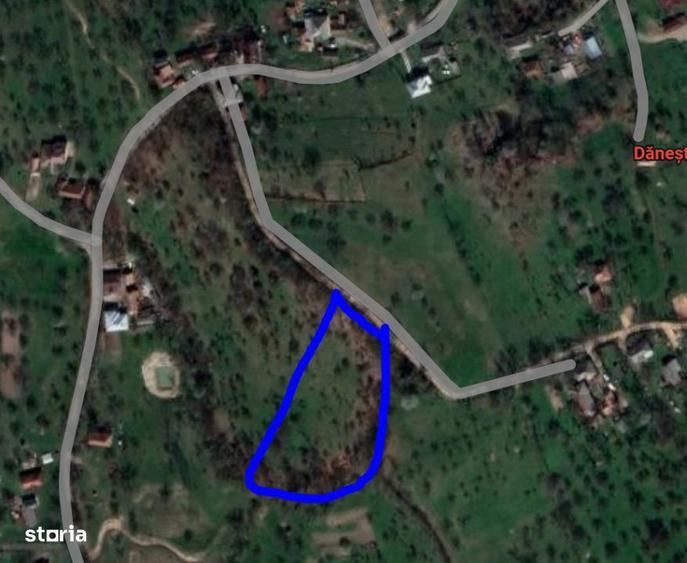 Teren-Panorama Deosebita-Danesti-Zona Secret Garden, 61ari - 1