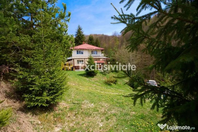 Casă cu 5 camere cu Teren 6412 Mp în Dâmbovicioara