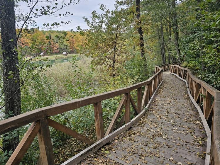 Teren intravilan 2000 mp zona Lac Stei - 2