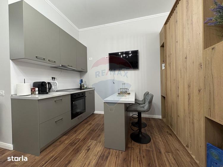 Apartament in zona Hanul cu Pe?te - ?tefan Building Lake II - 4