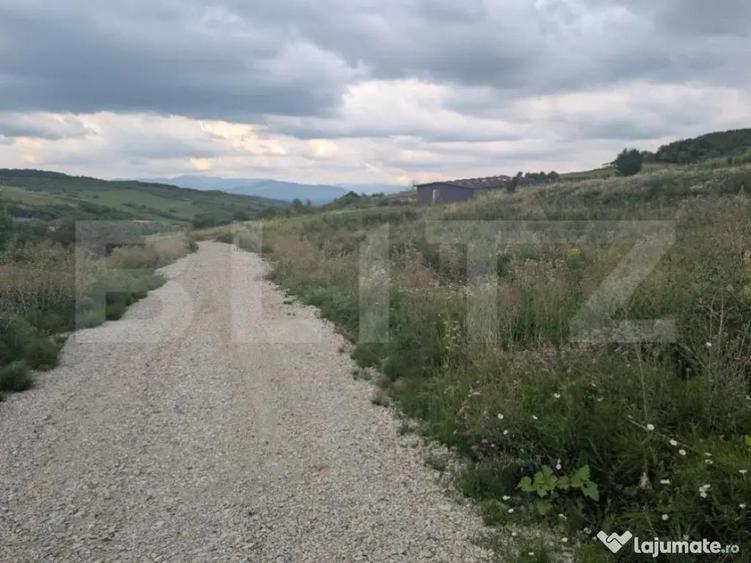 Teren construibil de vanzare, 500 mp sau 1000 mp, Dealu Jel - 5