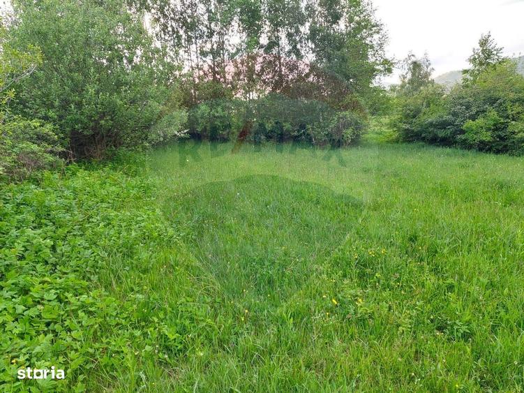 Teren Bran-Zarnesti - Tohanita, 4223mp - 9