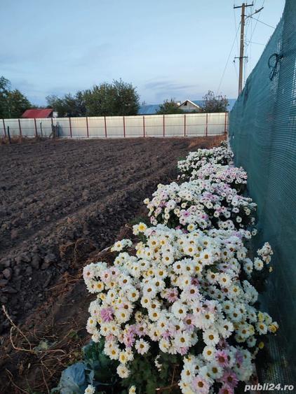 Casa batraneasca - 4