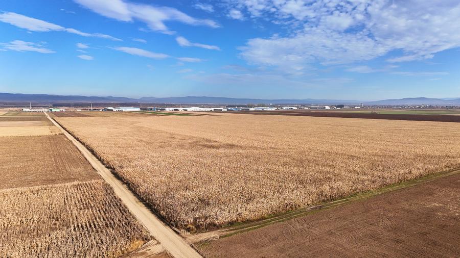 Teren 32,5 Ha compact Prejmer, Brasov. Imagini drona,tur/360 - 6