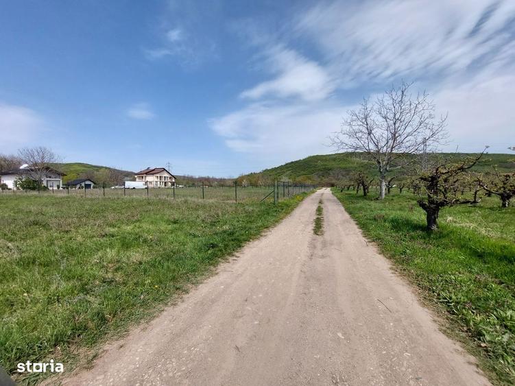 COMISION 0 Teren intravilan 653 mp, Aninoasa Viforata - 4