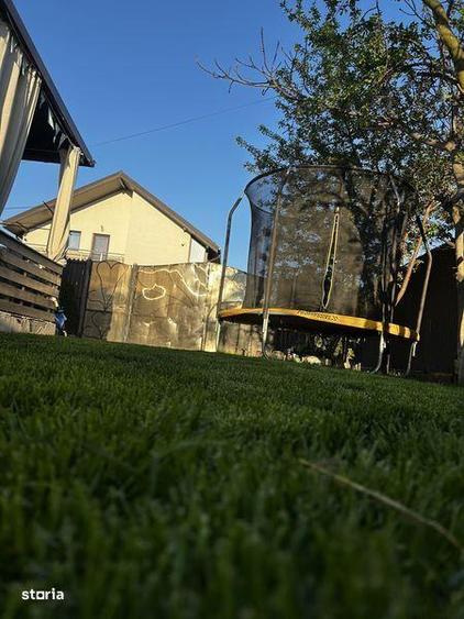 Casa de vanzare - Albesti - Simnicul de Sus - 6