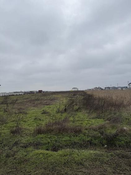 Teren Dragomiresti Vale, 500 sau 1084 mp util - 4