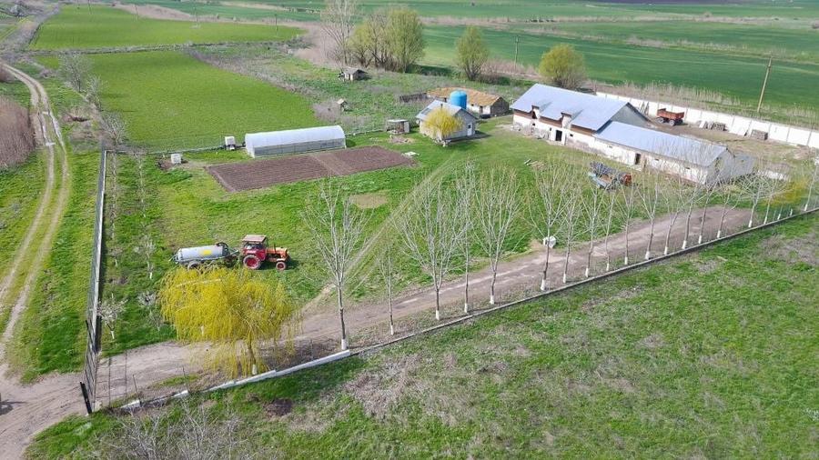 Ferma de vanzare - 5