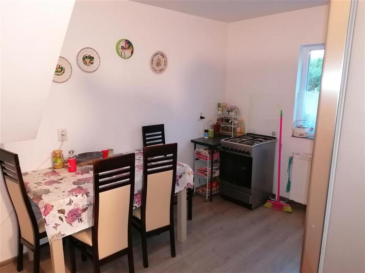 Vila Individuala Sinmihaiul Roman - 10