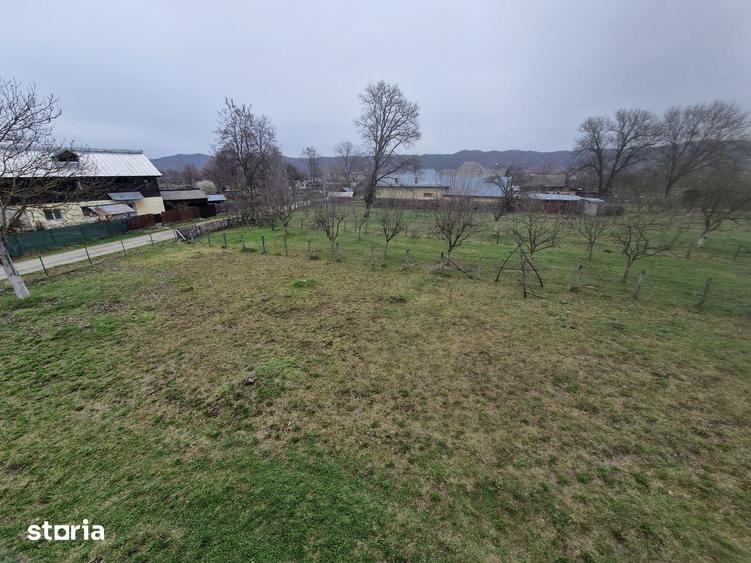teren munte - Domnesti Arges , 25km de C. de Ag - 7
