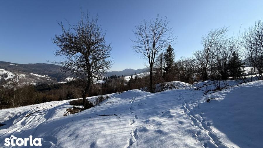 Teren extravilan 2.1 ha Salatruc, Vama - 3