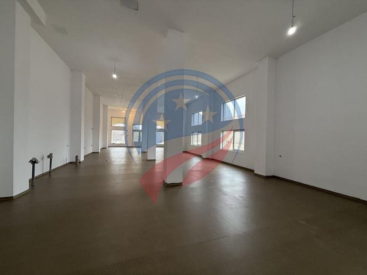 Spatiu comercial de inchiriat/Livezi/Dolj - 6