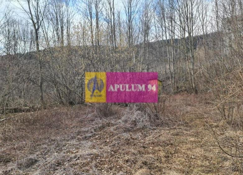 Teren de vânzare în Sinaia - Platou Izvor - 9