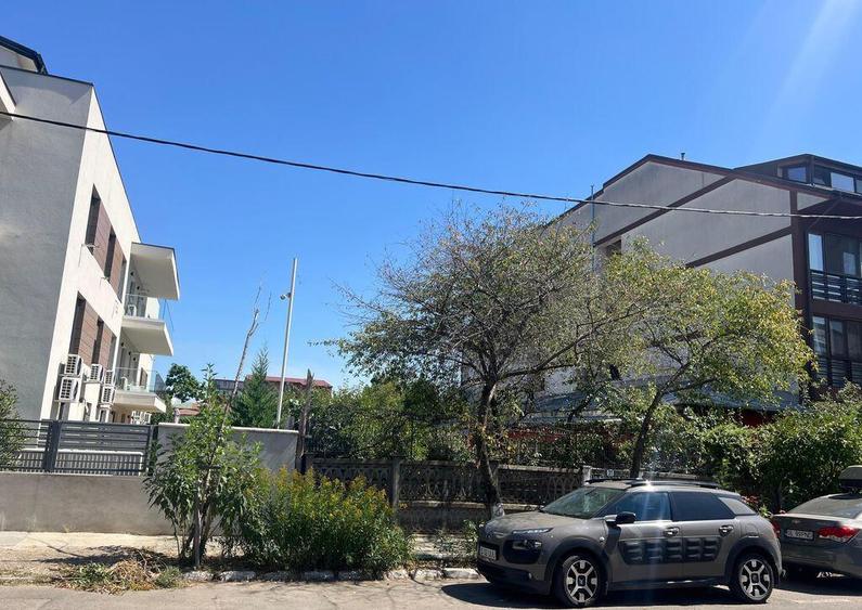 Teren str Renasterii Chitila - 2