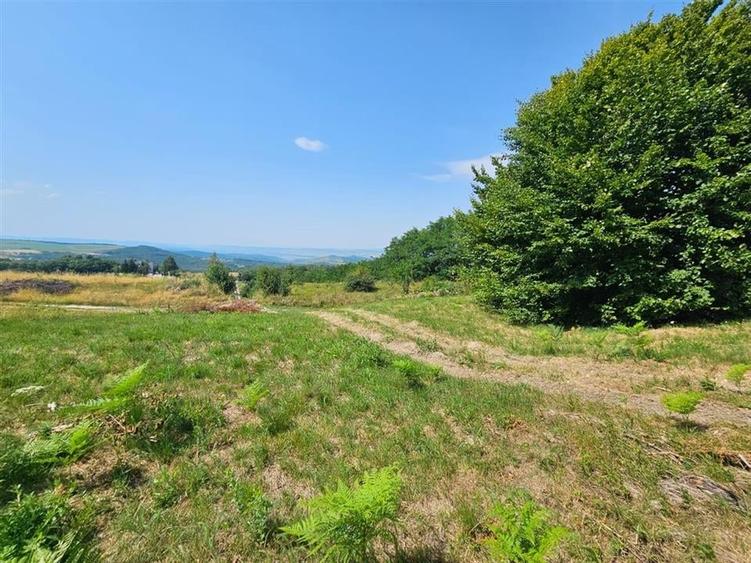 Alzza Real Estate  Teren intravilan de vanzare in Salicea, Cluj  1170 mp cu PU - 6