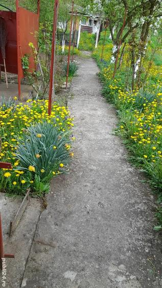 Casa 4 camere comuna Vorta + dependinte - 6