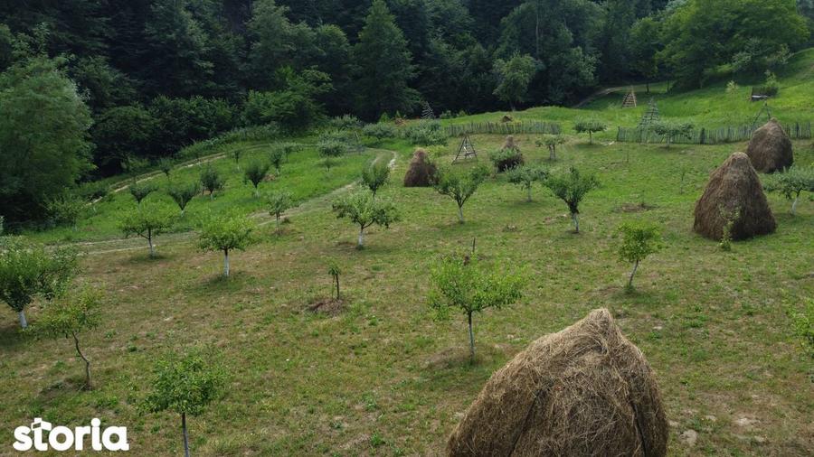 Teren de vanzare in comuna Cicane?ti, sat Bara?ti, Judet Arges. - 9