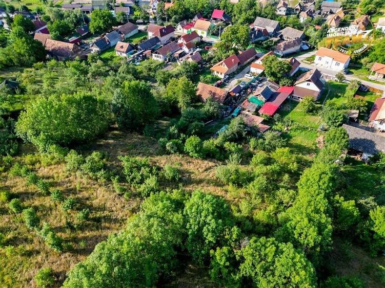 FILM!Areal apreciabil,casa+domeniu de 3.500mp,Sancraiu,vecin Sfantu Gheorghe si - 48