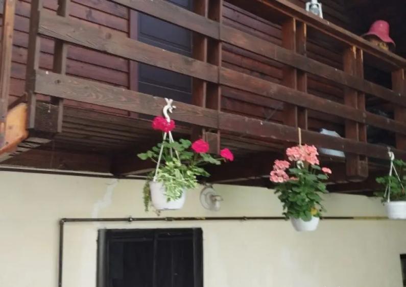 Vila/ pensiune - 11 camere - Moieciu de jos - 1