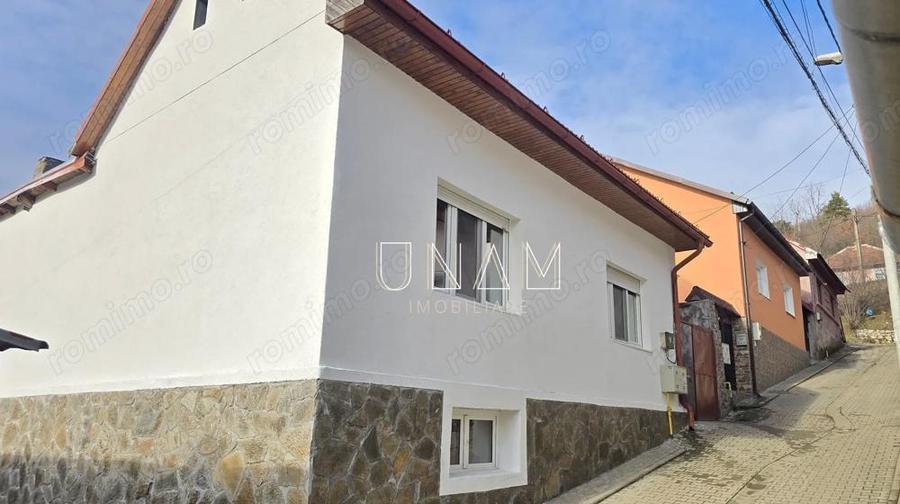 Proprietate cu 3 corpuri | casa + spatiu separat | Muncitoresc - 20