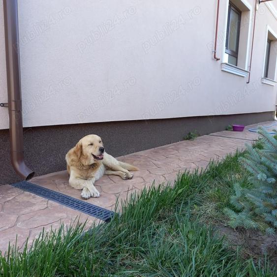 De vanzare teren plus fundatie casa cu etaj si proiect - 7