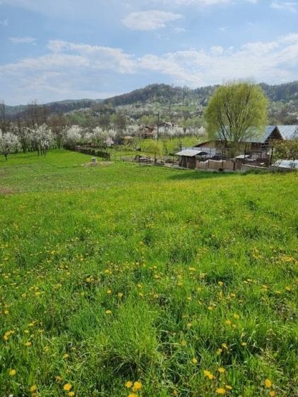 Teren vanzare in comuna Adunati - zona BREAZA - Prahova - 2