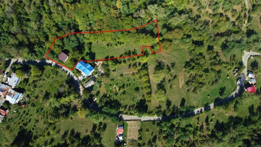 Casa la ro?u + 4391 mp teren de vanzare in comuna Valea Danului, sat Borobane?ti, jude? Arge?. - 2